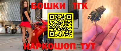 гашик Волжский