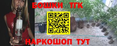 гашик Волжский