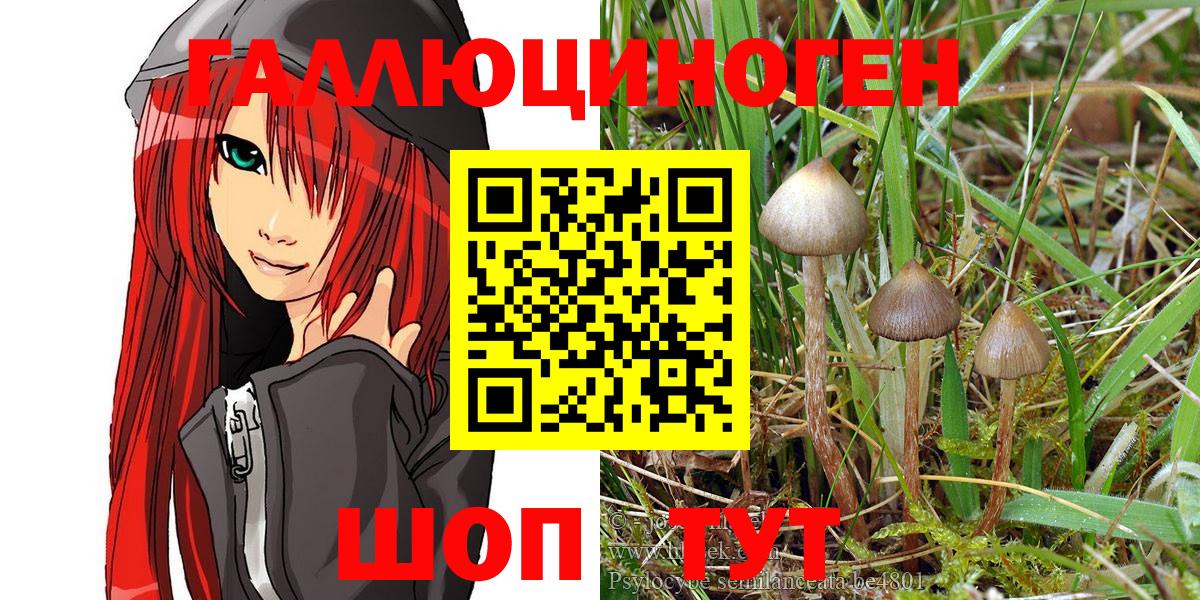 Псилоцибиновые грибы MAGIC MUSHROOMS  Псилоцибиновые грибы ЛСД  Екатеринбург  Вход с VPN 